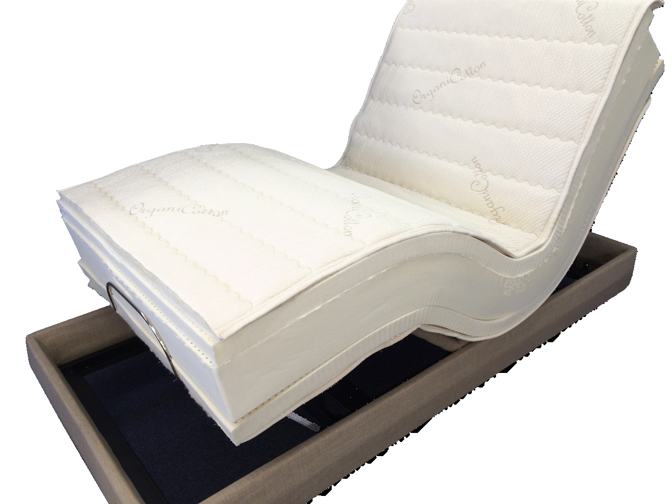 Mesa Organic Latex Bed